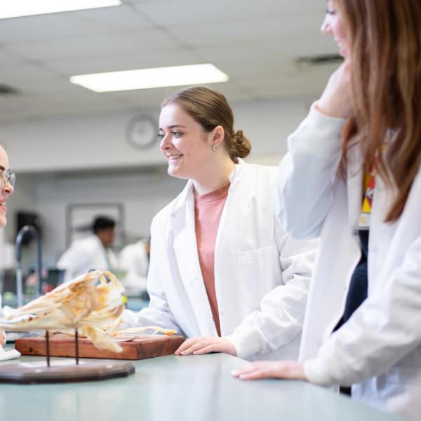 VIU students in the fish biology lab