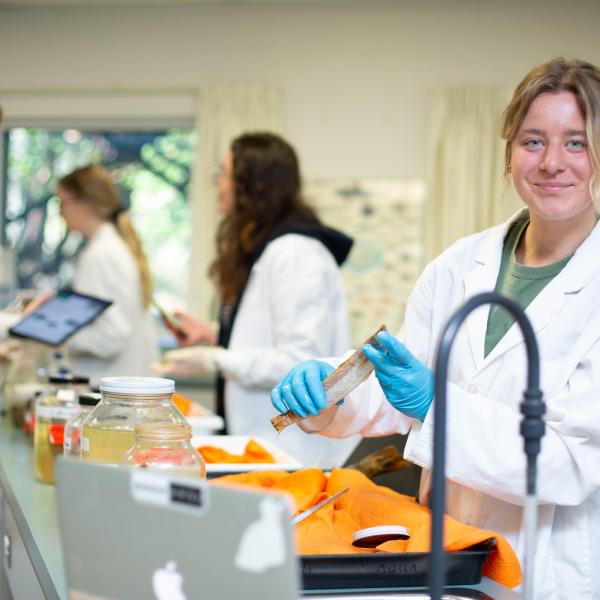 VIU student working in the fish lab