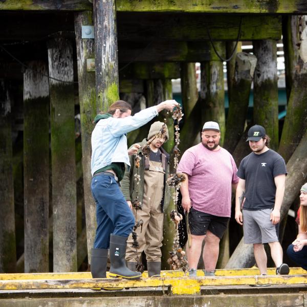 VIU students standing at the dock and pilings