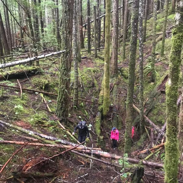 Students assessing karst features in the field for GEOL 401