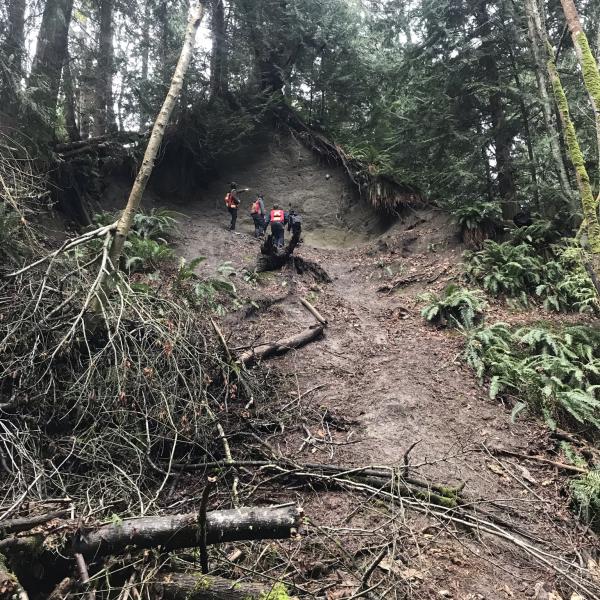 Students making observations of slope stability during a GEOL312 field trip