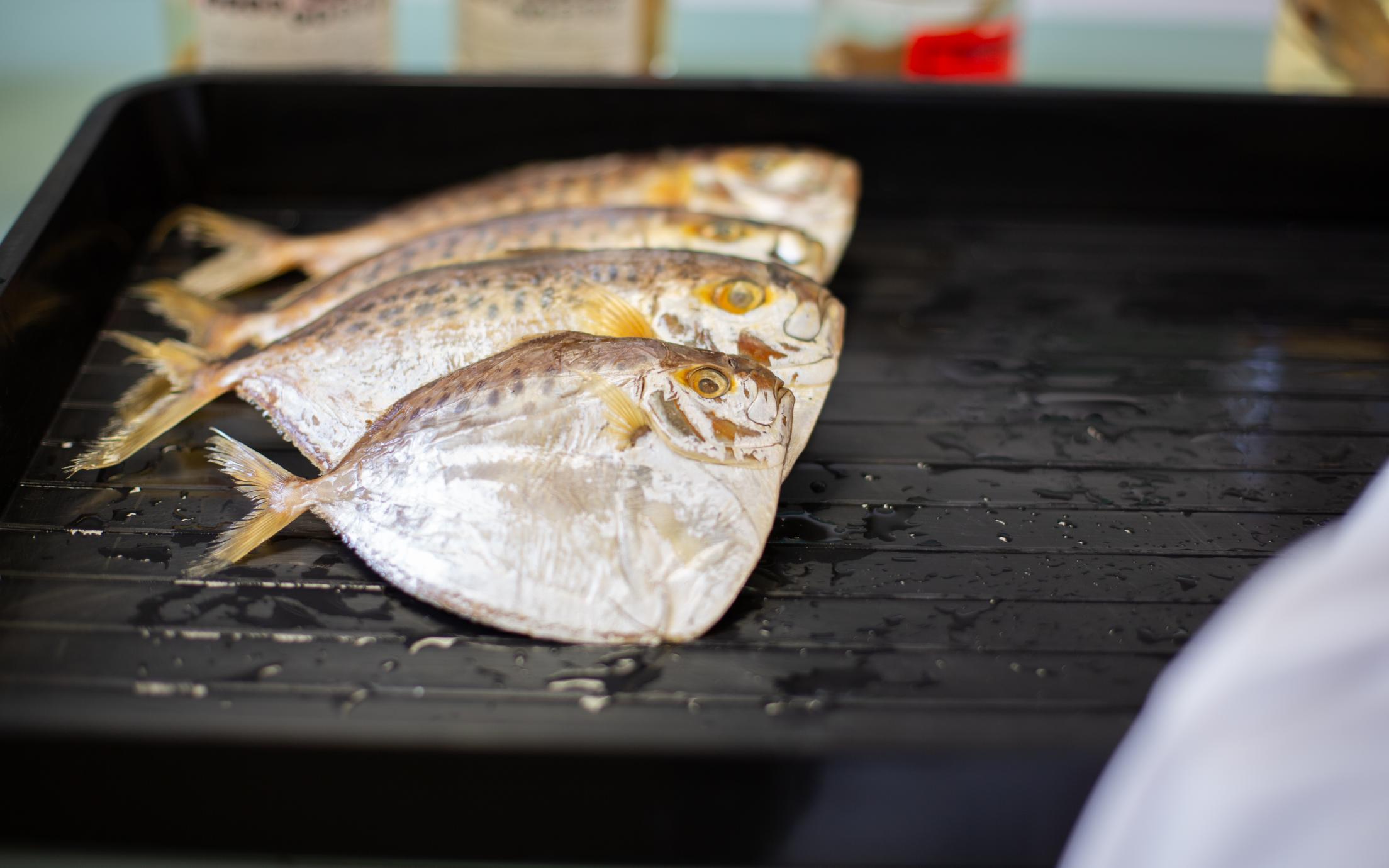 Fish in a tray
