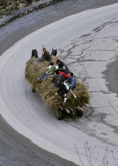 Hay ride